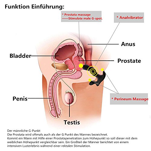 Prostata Stimulator Prostatamassage Analplug Sexspielzeug Analspielzug für männer Analvibratoren Analdildos: 4 Vibrationsmodi und 3 Intensitätsstufen. - 5